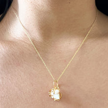 Load image into Gallery viewer, Kai