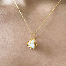 Load image into Gallery viewer, Kai